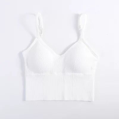 plus size sports bra